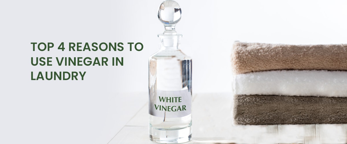 Top 11 Reasons to Use Vinegar in Laundry and Its Benefits