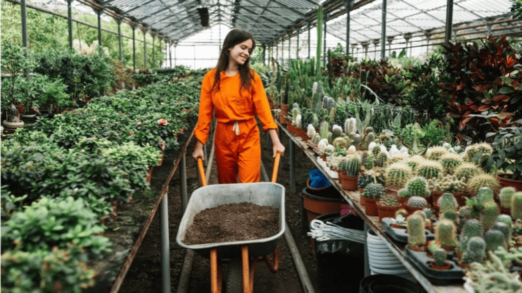 Exclusive plant nursery is one of the most profitable business ideas for women
