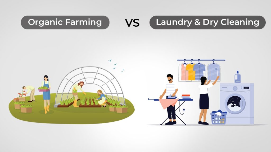 Organic Farming Vs Laundry & Dry Cleaning Business