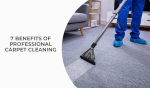 7 Benefits Of Professional Carpet Cleaning