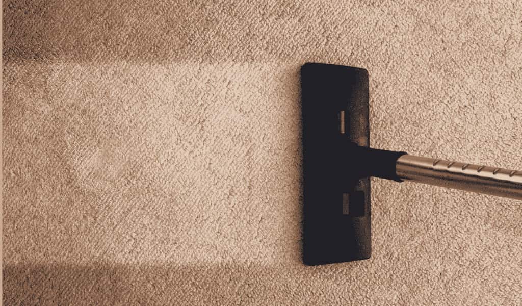 rug cleaning