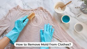 How to Remove Mold from Clothes