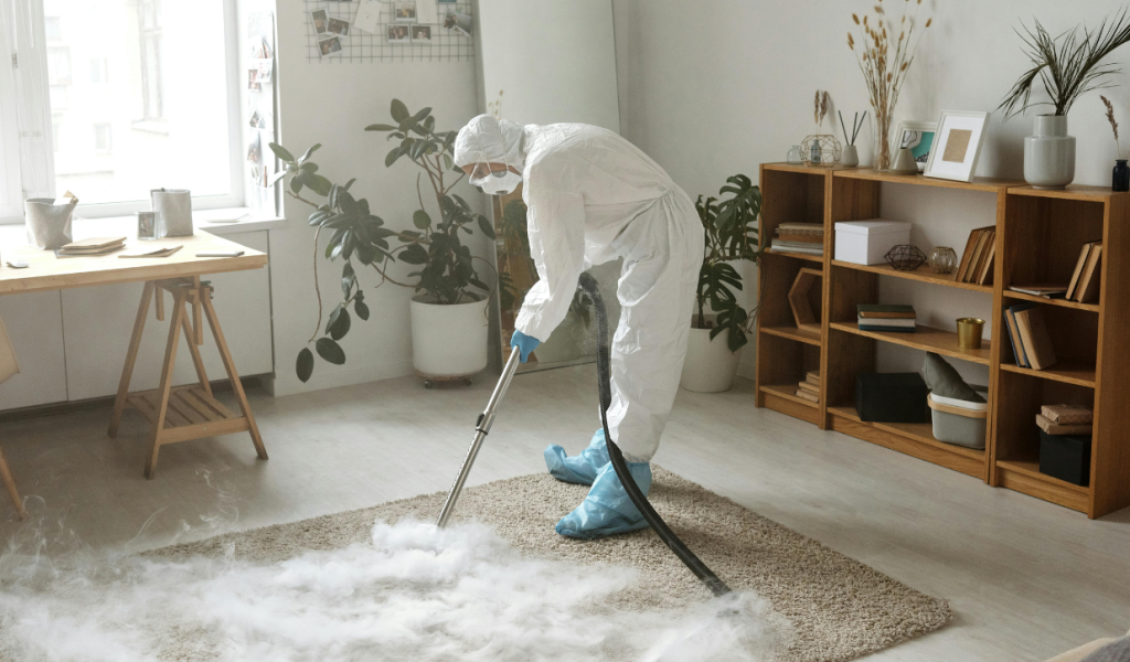 how to do professional carpet cleaning